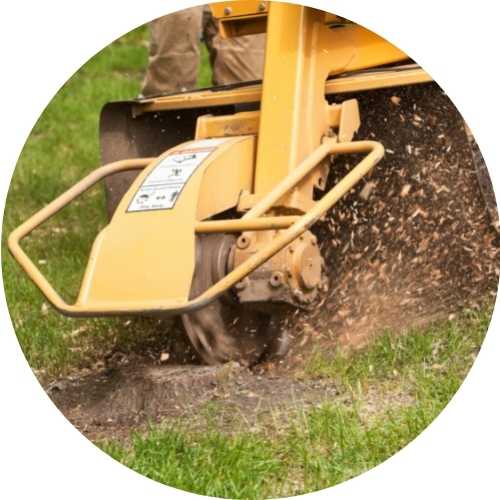 Stump Grinding